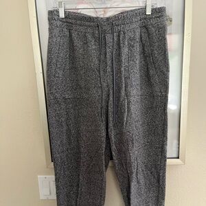 T by Talbots - cotton Jogger Pants